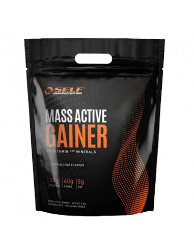 Mass Active Gainer 2000g