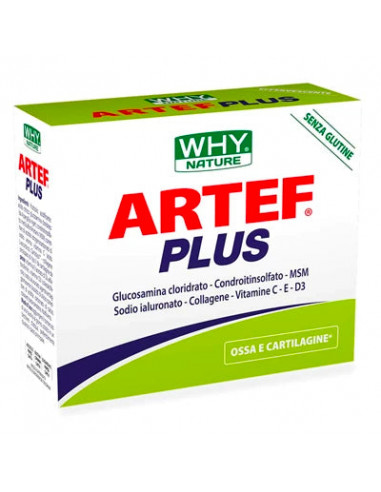 Artef Plus 12 buste