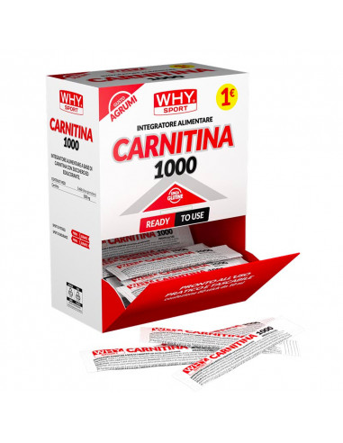 Carnitina 1000mg 10ml