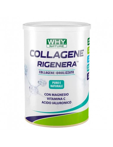 Collagene Rigenera 330g