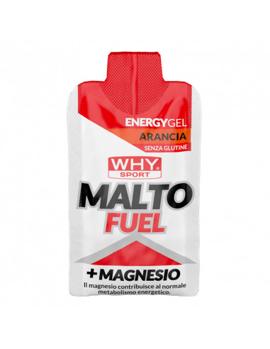 Malto Fuel 33g